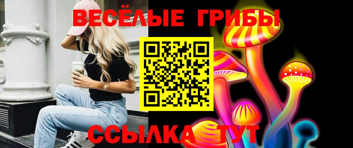 хочу   Галлюциногенные грибы Magic Shrooms  Вход с VPN  Обь 
