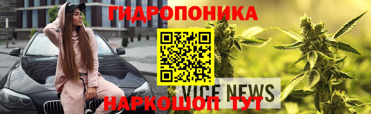 Канабис гибрид Обь